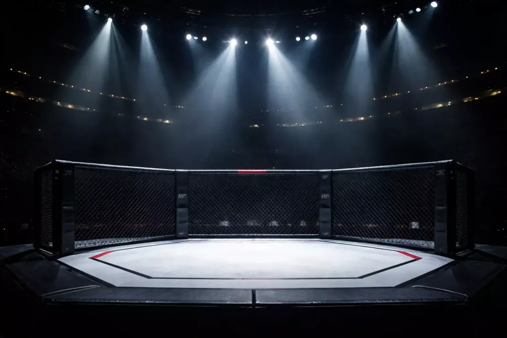 Klatka MMA oświetlona reflektorami podczas gali